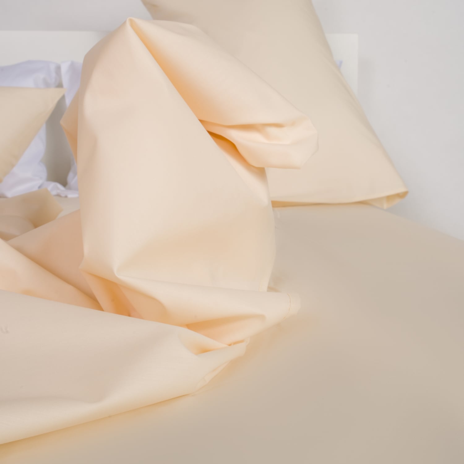 Draps en percale 100% coton ivoire