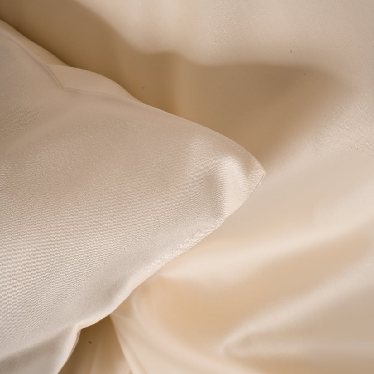 Draps en percale 100% coton ivoire