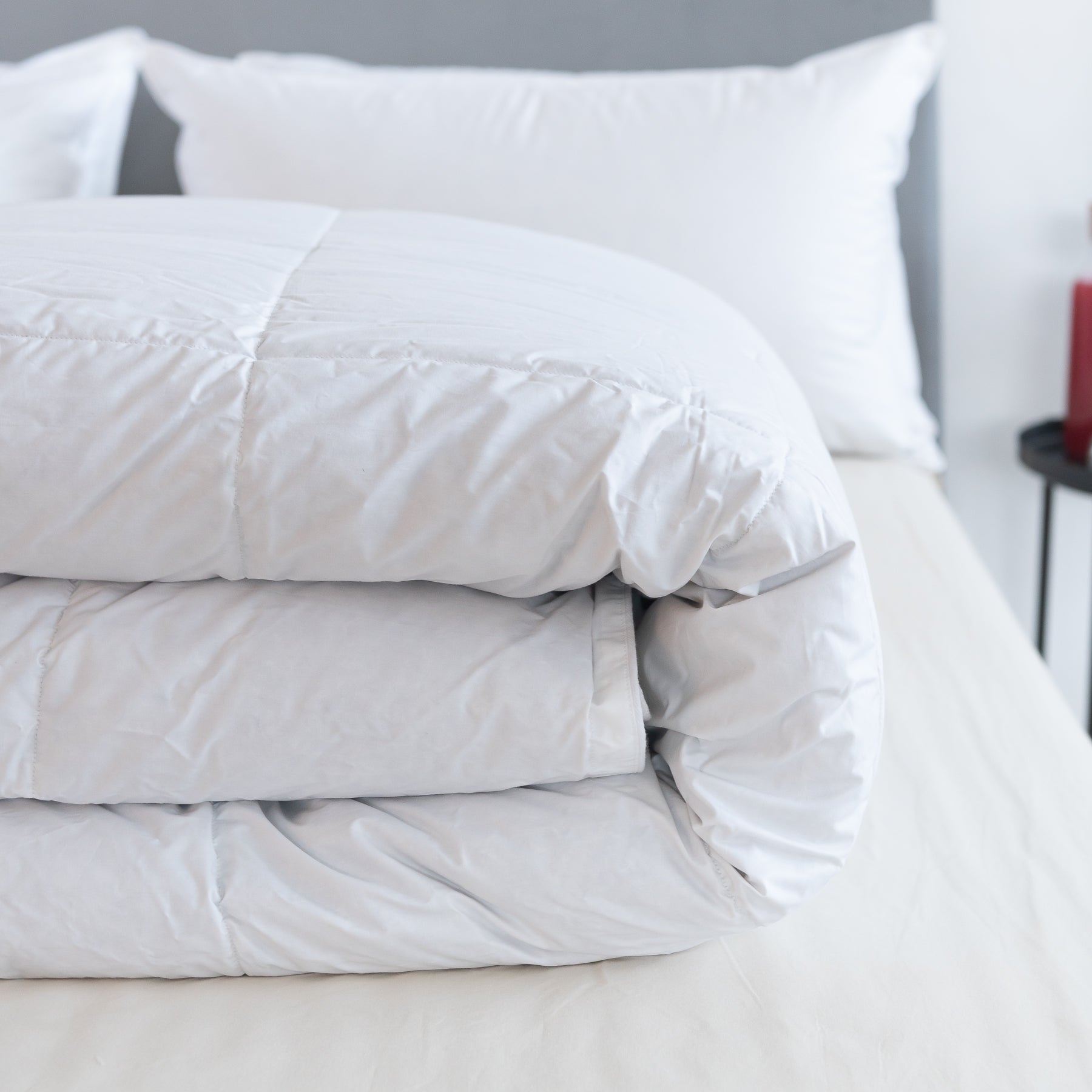 Doudoune d'hiver Polar 5* en 100 % duvet d'oie | Produit élu de l'année 2023